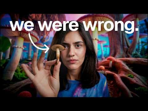 What Psychedelic Drugs actually Do To Your Brain, AevyTV on YouTube